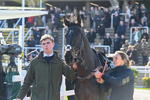 241025-Race 2-Centara-2379