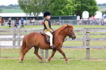 SBM_08510
