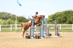 SBM_004638