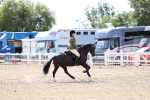 SBM_15842