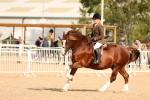 SBM_16988
