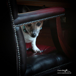 Archie 180223 287a