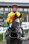 171026-Race 5-Brighton Boy-6051