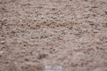 240121A-091753-00816