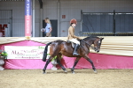 SBM_08035