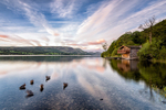 Ducks by the Duke of Portland Boathouse, Ullswater