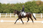 Class 4 - Novice 5 portfolio