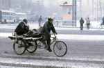 Peking winter