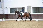 SBM_003281