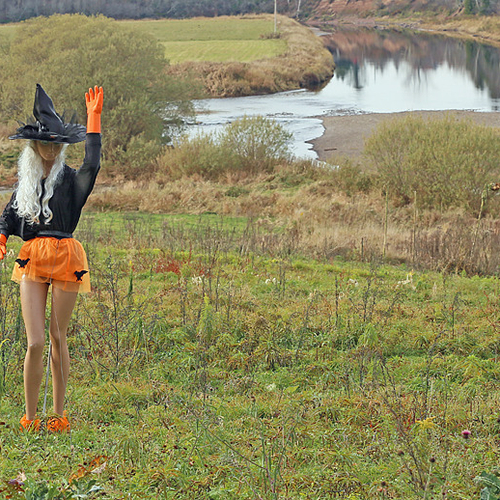 Scarecrows can look an awful lot like witches as October comes to an end.