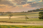 z3207 Morning Mists of Ashey