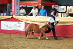 SBM_18441