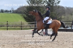 BPP_1032
