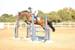 SBM_001775