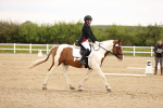 SBM_006888