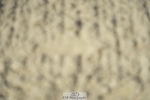 230909-103806-04912