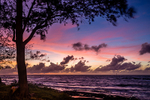 Wet Season Sunset