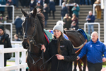 251025-Race 1-Major Fortune-6588