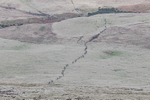 Carrock-3