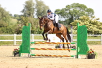 SBM_003966