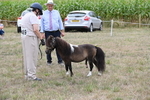 WJ6_5667