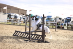 SBM_003569