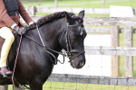 SBM_09627