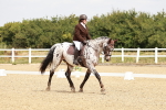 SBM_002729