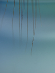 Blue 4