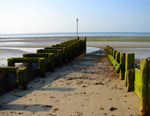 Worthing 06