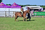 SBM_19836