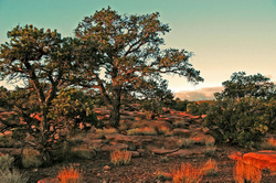 Capital Reef National Park portfolio