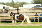 SBM_68245