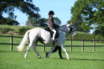 SBM_35319