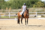 SBM_003283