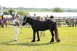 SBM_00732