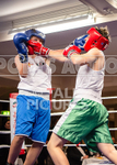 Sparring Bout-2_Brad Envoldsen v Ethan Le Moignan-12