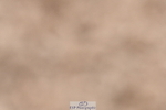 231217A-123814-01052