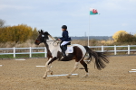 SBM_002241