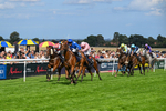 300826-Race 4-Financer-0533