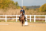 SBM_009291
