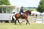 SBM_15882