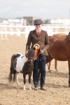 Class 19 - Horse/Pony Judge would most like to take home portfolio