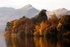 Derwent Isle