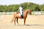SBM_010176