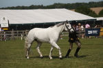 SBM_07624