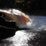 Autumn Fall, River Clyde