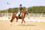 SBM_014979
