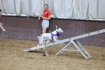 SBM_004778