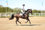 SBM_002531